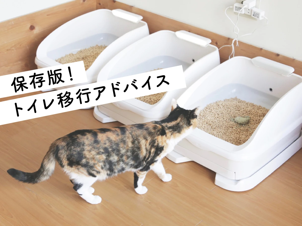 新しい猫トイレと猫砂の変更にお悩みの方へ Tolettaサポートサイト